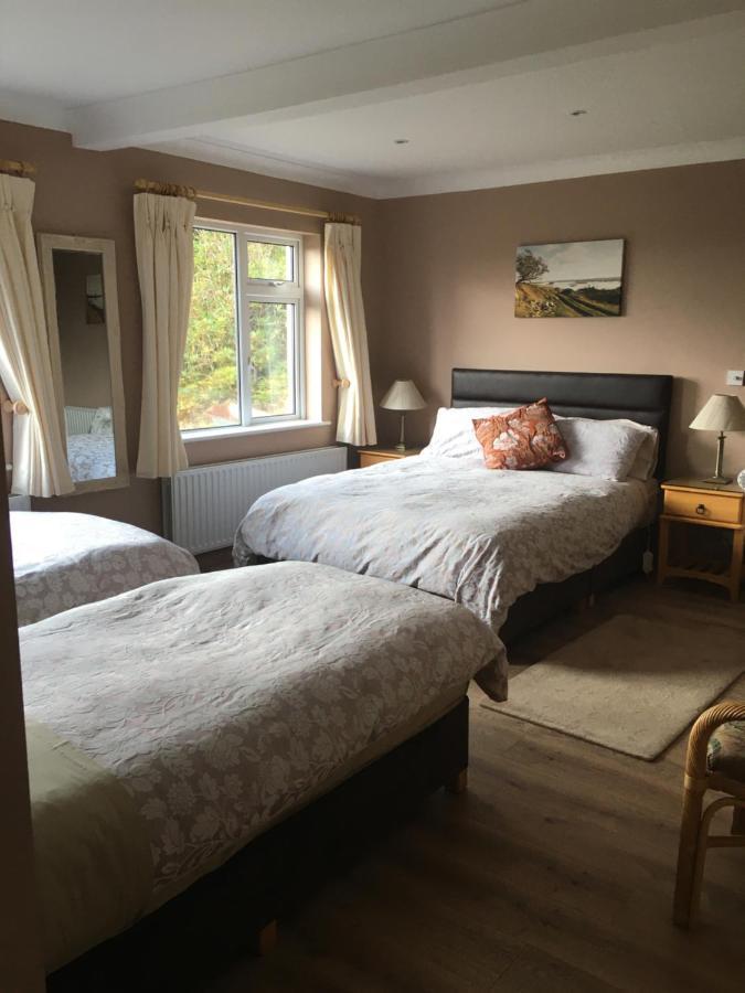 Bed and Breakfast Atlantic View Clifden Zewnętrze zdjęcie